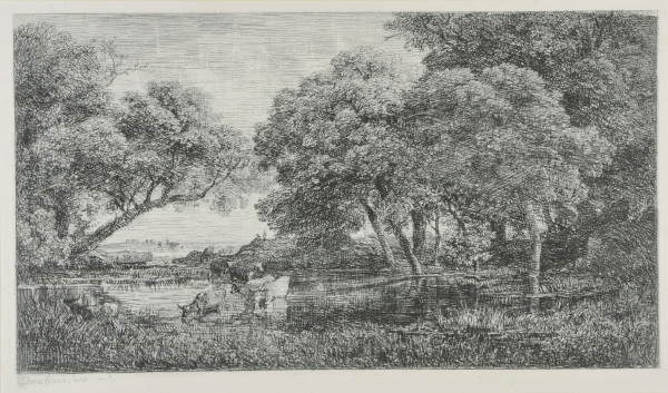 THE COWS IN THE MARSH