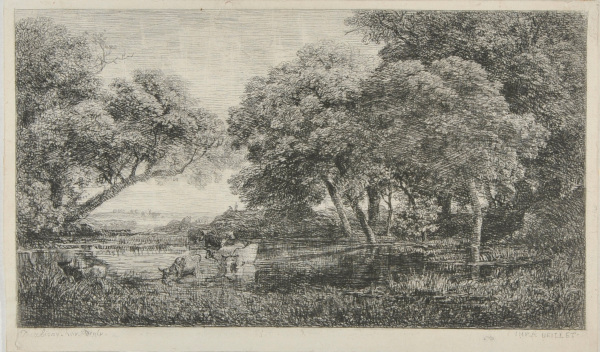 Les Vaches au marais