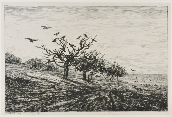THE TREE WITH CROWS