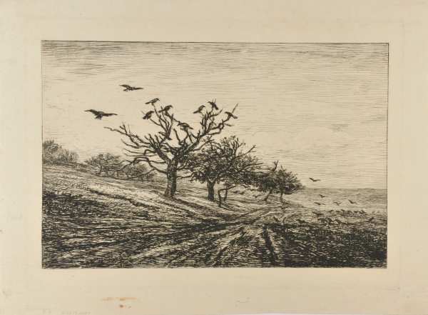 THE TREE WITH CROWS