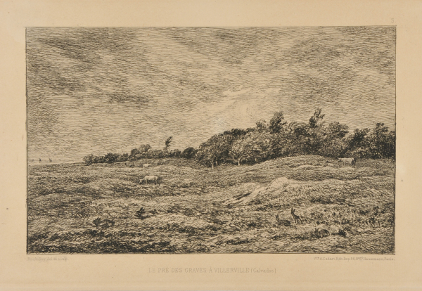 THE MEADOW AT GRAVES IN VILLERVILLE (CALVADOS)