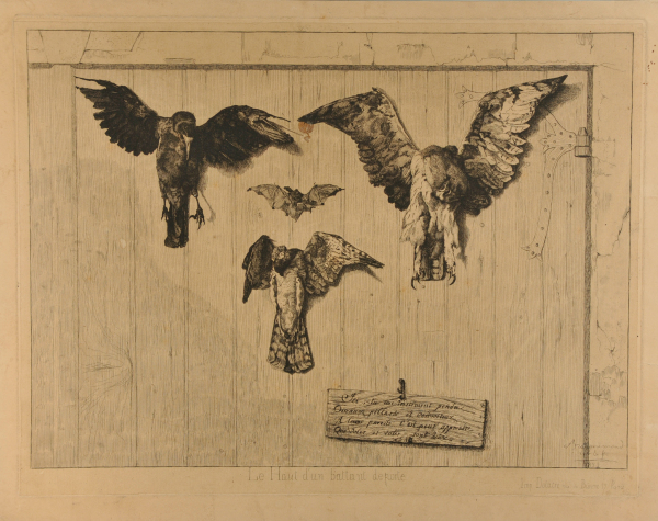 THE TOP HALF OF THE DOOR