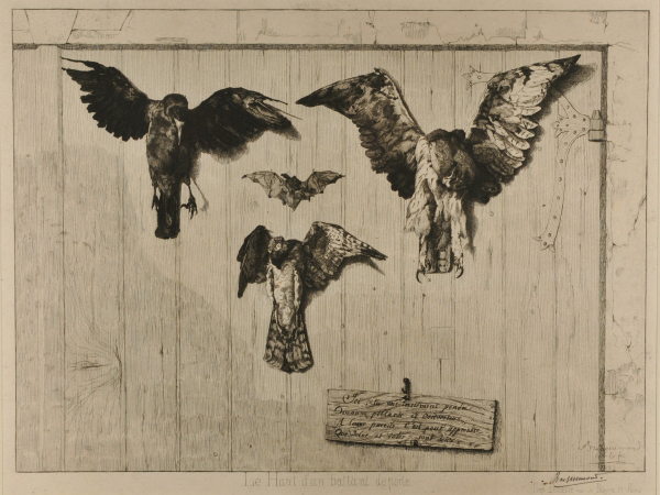 THE TOP HALF OF THE DOOR