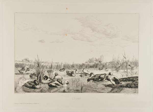 L’Étang (deuxième planche)