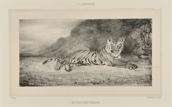 ÉTUDE DE TIGRE (STUDY OF A TIGER)