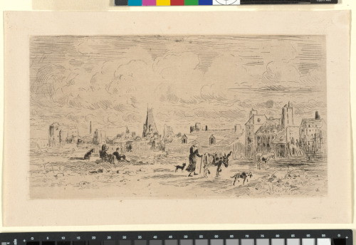 DONKEYS AT SAINT-MÉDARD