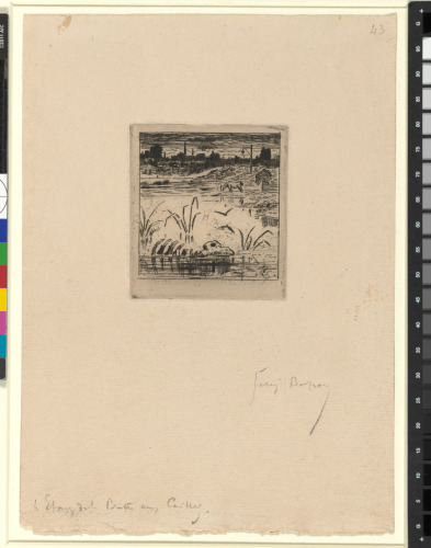 THE POND AT LA BIÈVRE