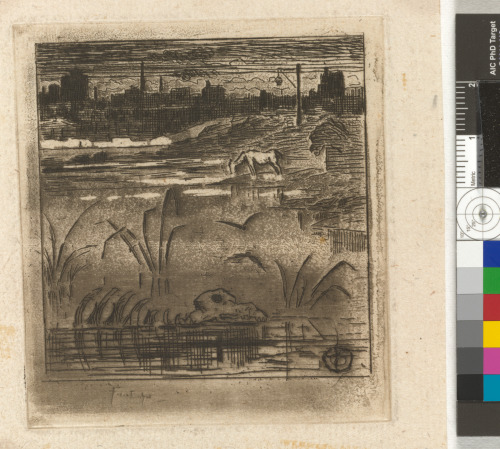 THE POND OF LA BIÈVRE