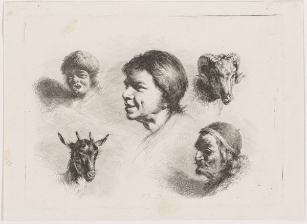 FIVE STUDIES OF HEADS