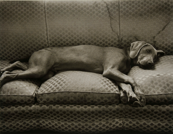 XENAR, MT. AIRY, MD.