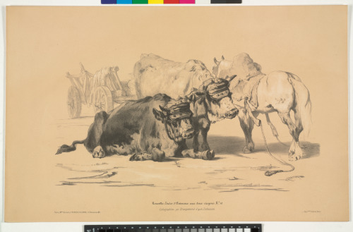 TWO OXEN, A WAGON DRAWN BY ANOTHER OX, A HORSE