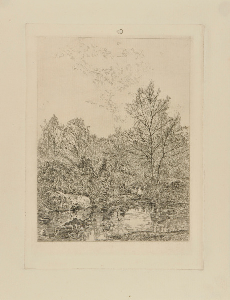 THREE DEER IN FOREST BY A POOL