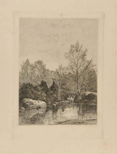 THREE DEER IN THE FOREST BY A POOL