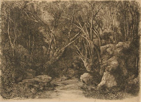 THE STREAM IN THE WOODS