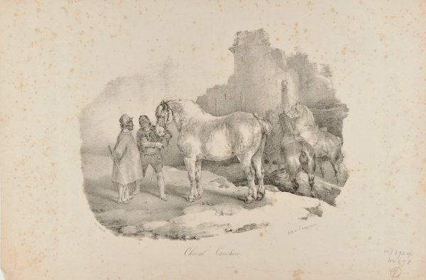 A NATIVE HORSE FROM CAUX, NORMANDY