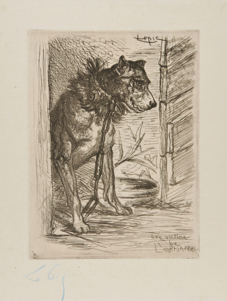 A VICTIM OF ARBITRARINESS