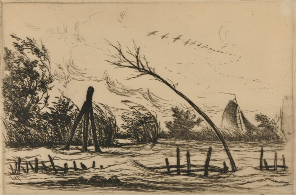 BEFORE THE STORM, BIRDS IN FLIGHT AND SHRUBS BENT BY THE WIND