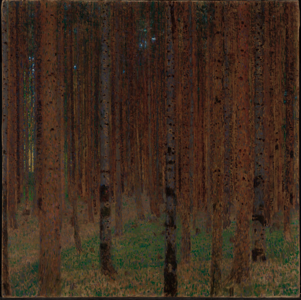 PINE FOREST II