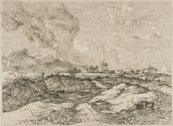 MOYSHOLD (MOUSEHOLD) HEATH