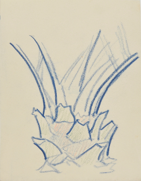 CROWNSHAFT OF A PALM TREE