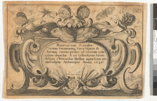 Title Page