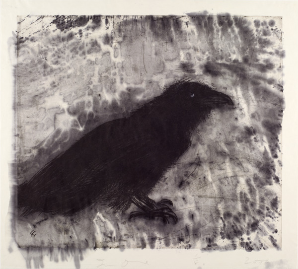 Raven on Lebanese Border