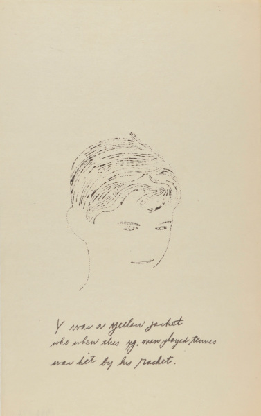 Y WAS A YELLOW JACKET