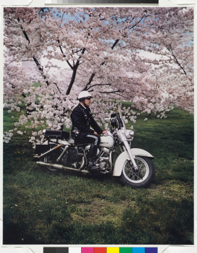 SPRINGTIME, WASHINGTON, D.C.