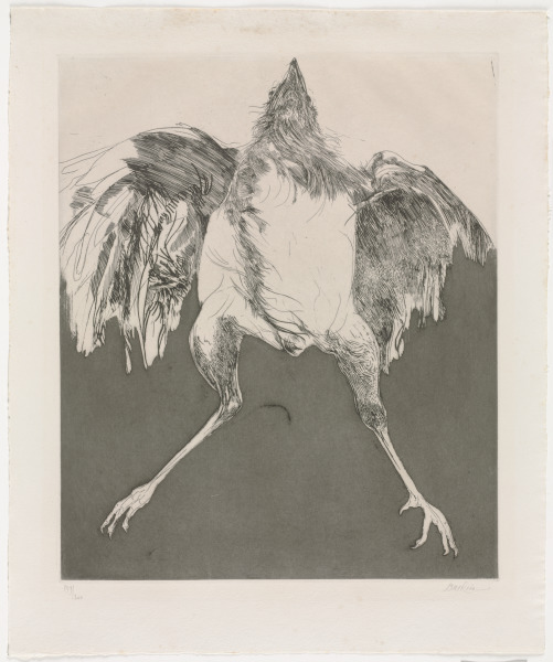 Untitled (Bird)