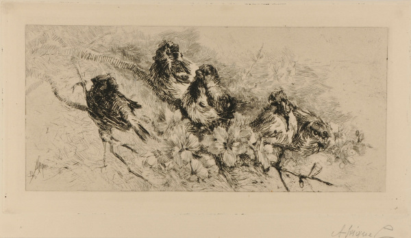 Five Birds on a Flowering Branch