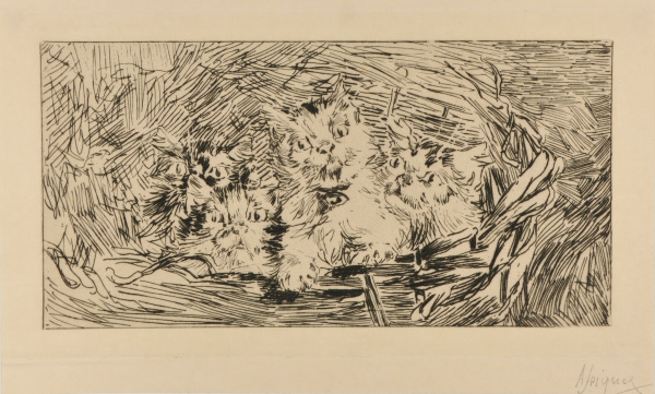 Mother Cat and Kittens