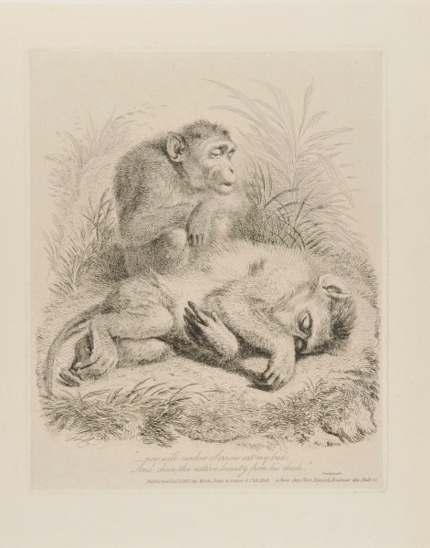 "--NOW WILL CANKER SORROW EAT MY BUD"