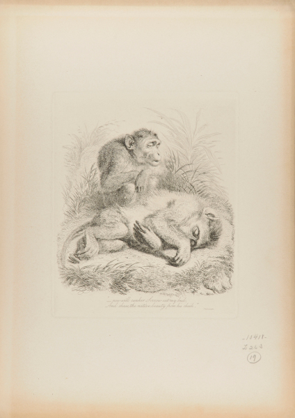 "--NOW WILL CANKER SORROW EAT MY BUD"