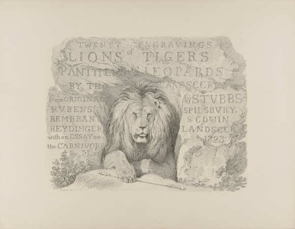 COVER FOR "LIONS AND TIGERS"