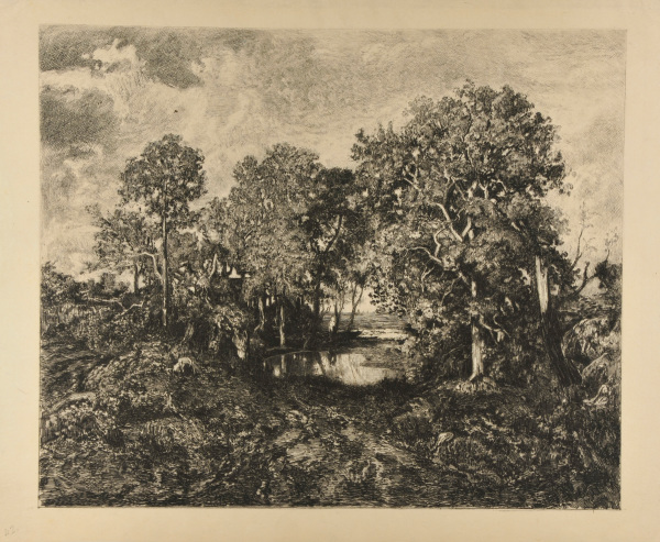 A POND, FOREST OF FONTAINBLEAU