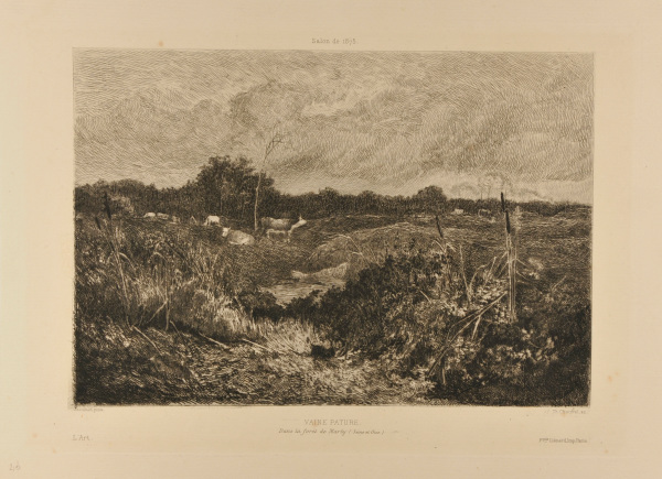 Vaine pâture dans le forêt de Marly (Seine et Oise)