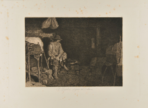 STUDY OF BRETON SHEPHERD