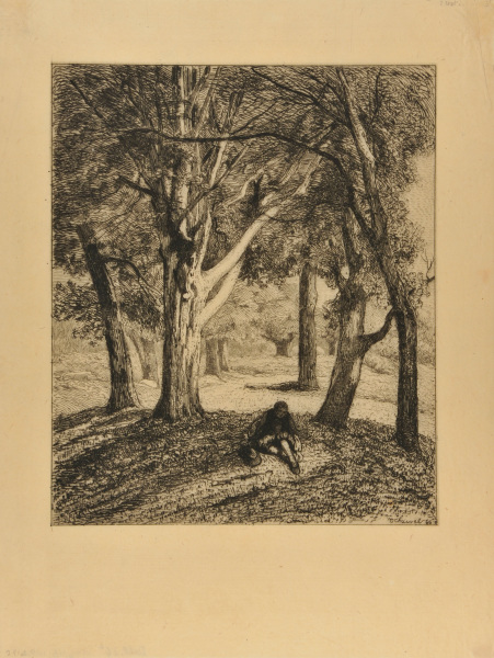 Carrefour des Gorges d’Apremont.