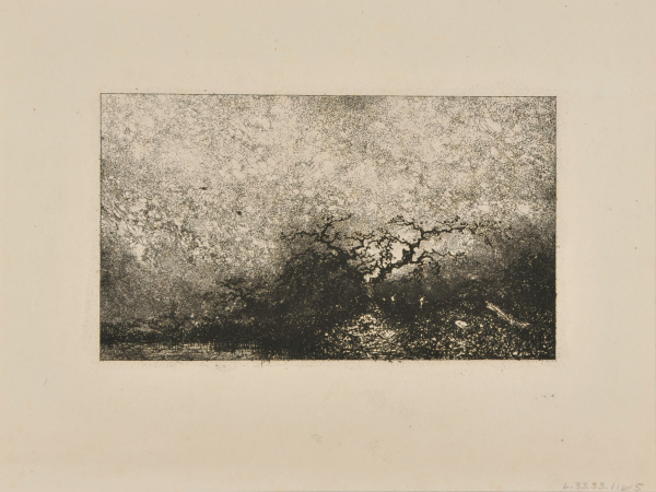 From Croquis de Voyage de 1843, plate 6: Underbrush