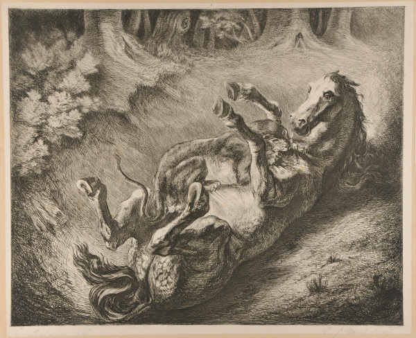 TIGER ATTACKING A HORSE