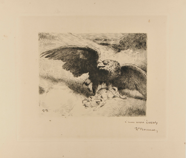 Eagle Pinioning a Hare