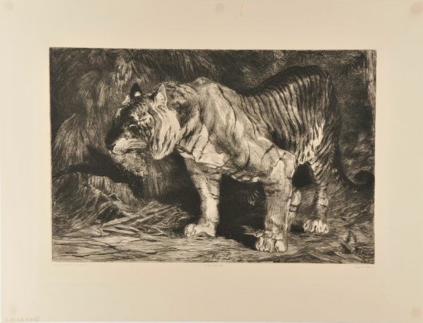 Tiger with Bird in Its Mouth