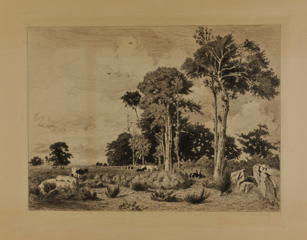 Landscape with Cows and Horses Grazing Among Trees and Rocks