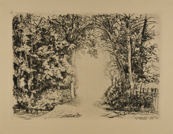 LANDSCAPE: CLEARING ALONG A WOODY PATH