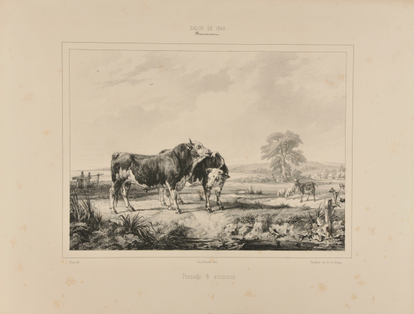 LANDSCAPE AND ANIMALS