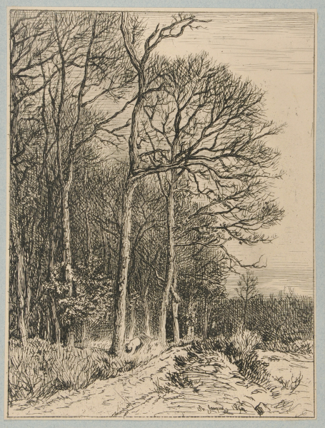 LANDSCAPE: WINTER - EDGE OF THE FOREST