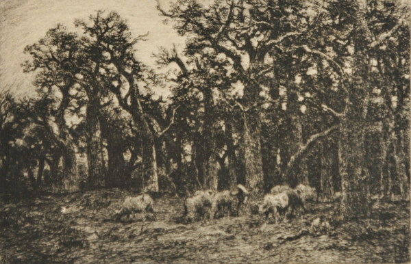 THE SMALL FOREST: WINTER