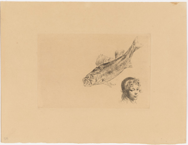 A LITTLE PERCH AND A HEAD OF A YOUNG GIRL