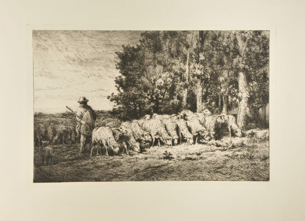 FLOCK AT THE EDGE OF A WOODS