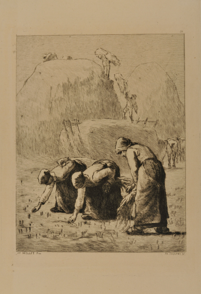 THE GLEANERS